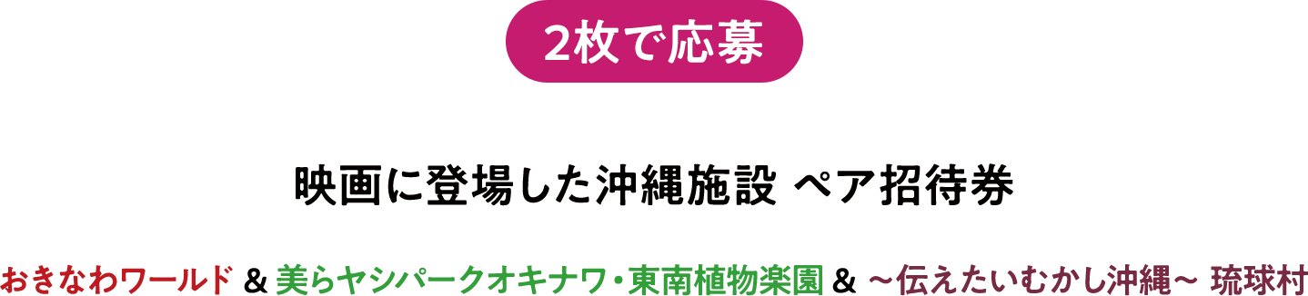 沖縄施設 ペア招待券